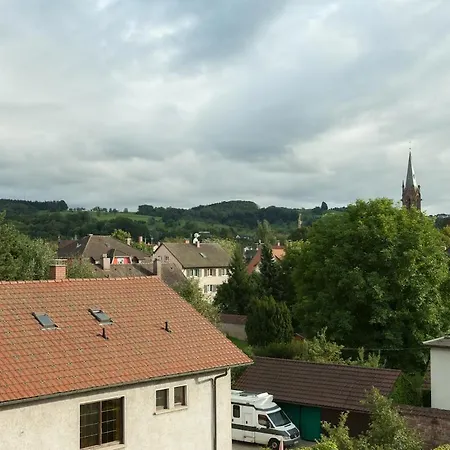 Lovely 1 Near Basel Schopfheim