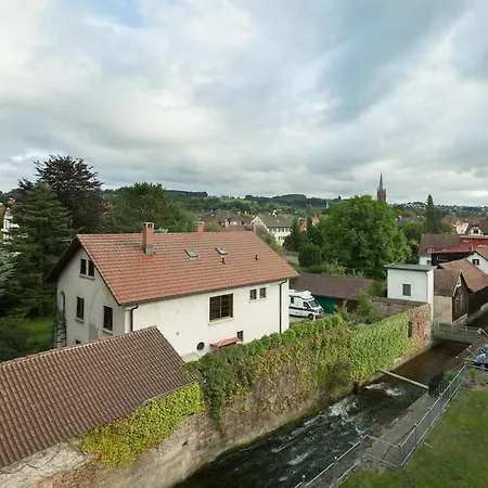 Lovely 1 Near Basel * Schopfheim