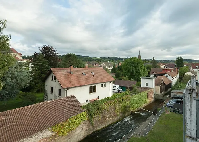 Lovely 1 Near Basel * Шопфхайм